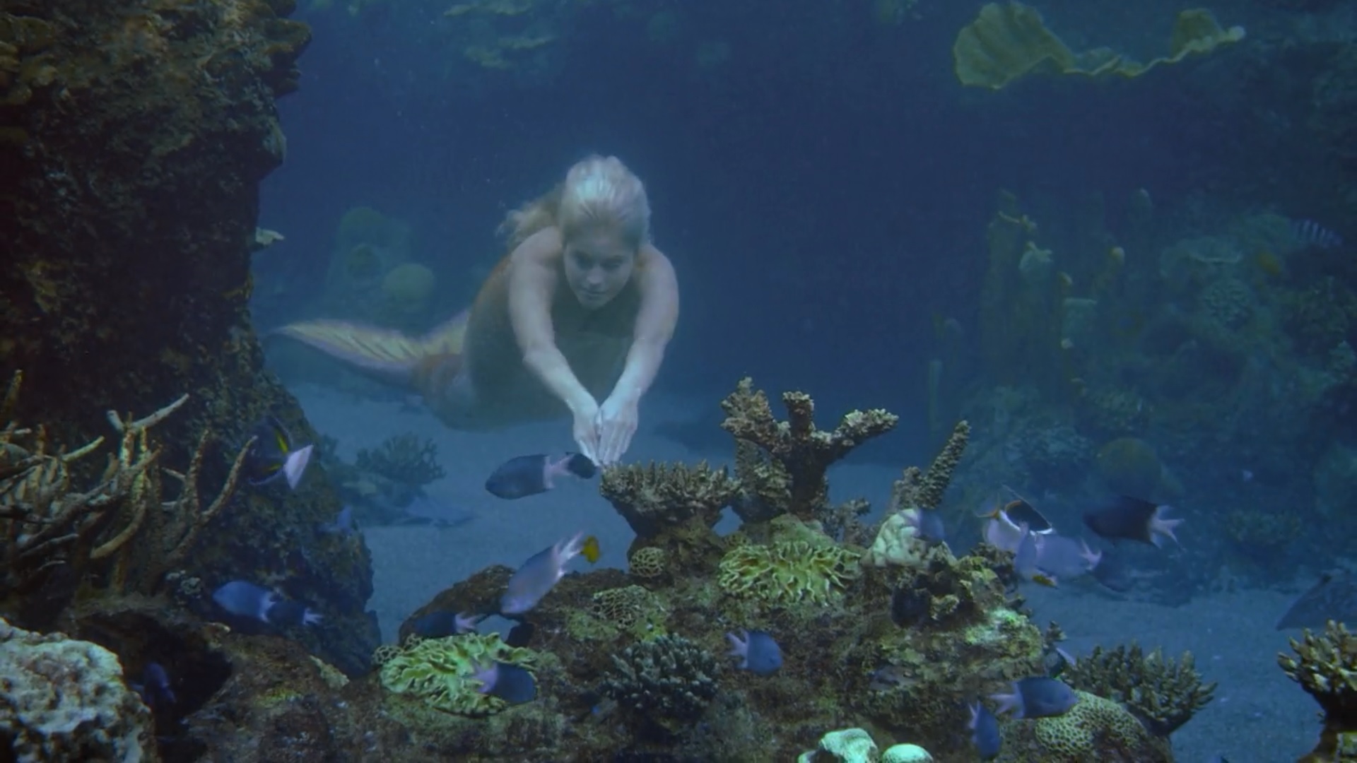 Mako Mermaids — Zac's Underwater Scenes - Season 2 Part 2
